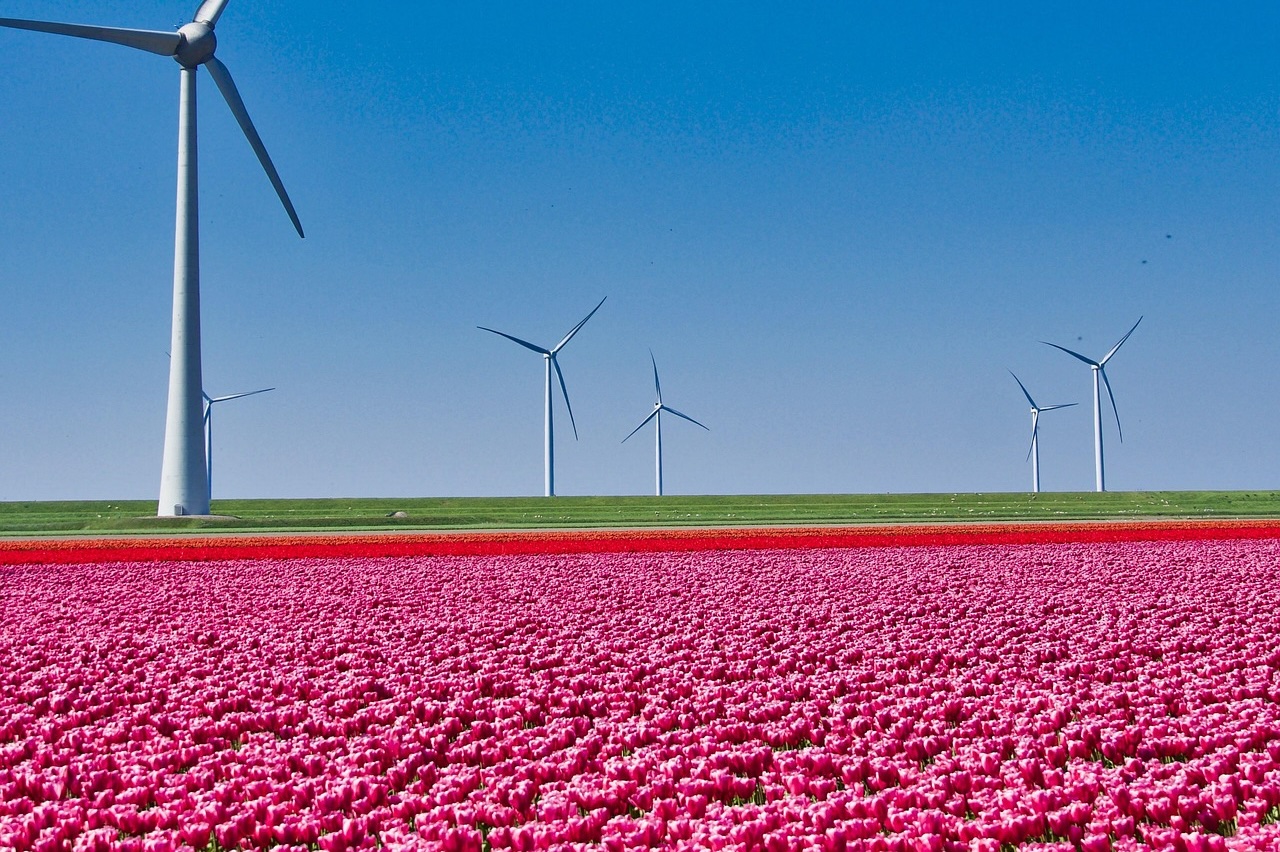 Firmen und Gesellschaften 